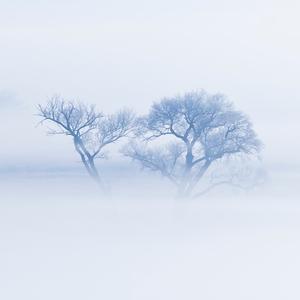 简单梦想tQ头像