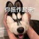 西门吹了个球头像