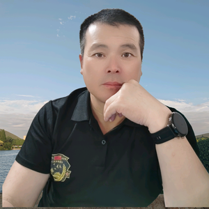 雁南飞头像