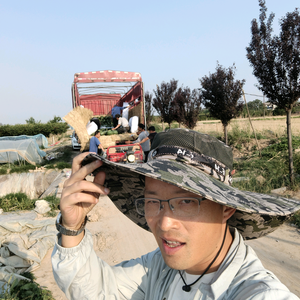 王多鱼日记头像