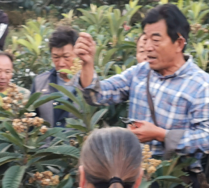 宝来米易四十四门市头像