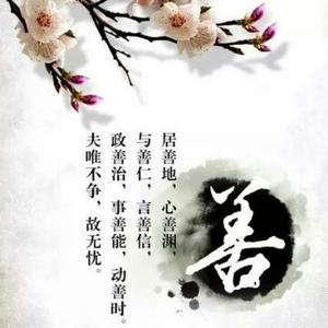 德善也头像