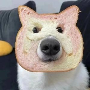 上进光束hr头像