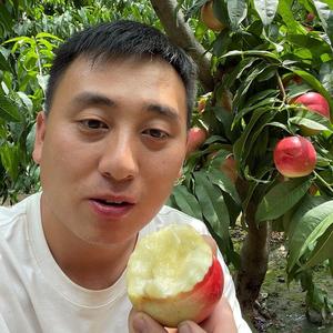 黄土蛮王生鲜头像