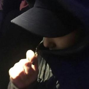 飞鸟头像