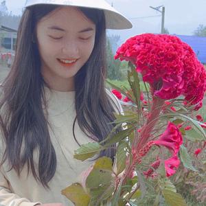 小梨涡涡头像