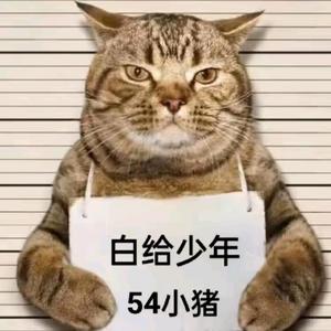 小猪头像