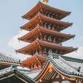 一次性看懂：匈奴、突厥、契丹、蒙古、女真、辽、金的千年纠葛 - 今日头条