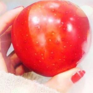 幽默的香水百合头像