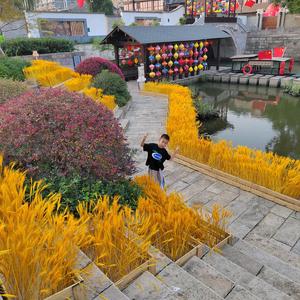 施泽一他弟施泽涵施狗头像