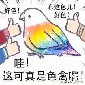 泓权每日一游戏头像