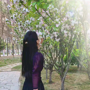 小凡老师不讲废话头像
