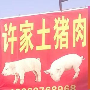 许家土猪肉头像