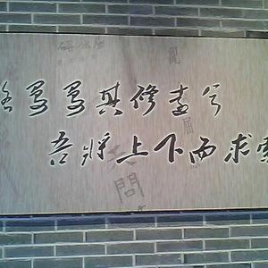 关注世界头像