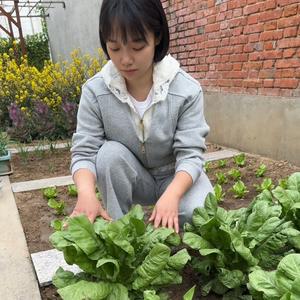 薇薇爱种植头像