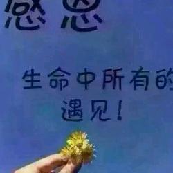 我是甜甜糖头像