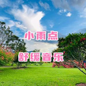 小雨点舒缓音乐头像