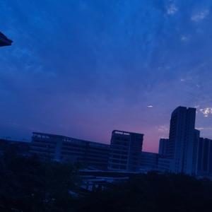 闪总头像