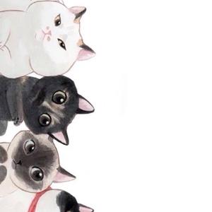 影视猫头像