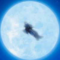 懂车帝买车专家王浩头像