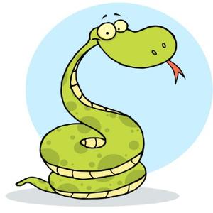 温柔的银环蛇头像