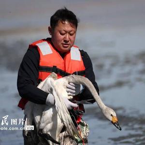 放弃惯性思维赵忠茂头像
