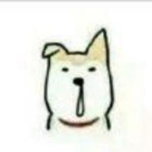养鱼hnk头像