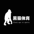 黑猿体育头像