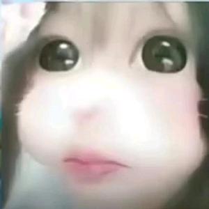 少罗宝宝头像