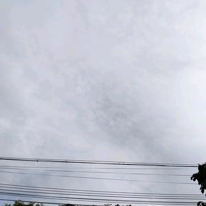 直爽艺术家tt4AO头像