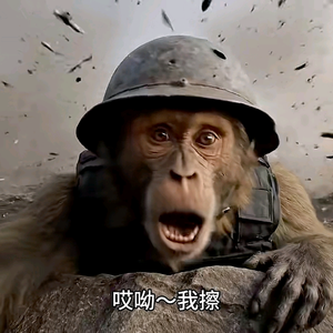 黎明前的黑暗头像