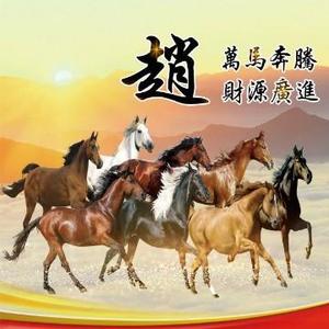 工厂小赵头像