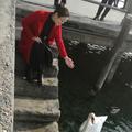 河南睿阳实业头像
