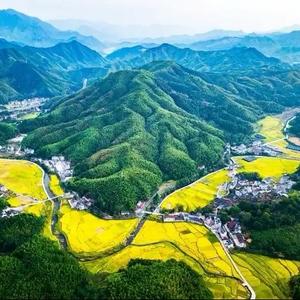 貔貅广吸八方头像