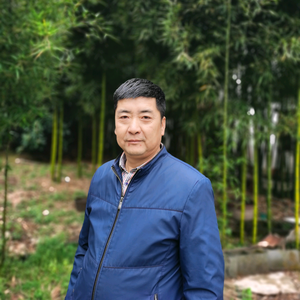 老宋养土鸡头像