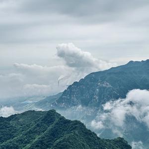 踏山河头像