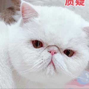 么么和哒哒头像