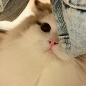 自强不息火车s头像