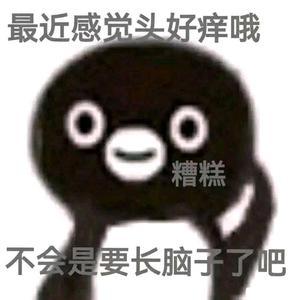 dy小青青蛙头像