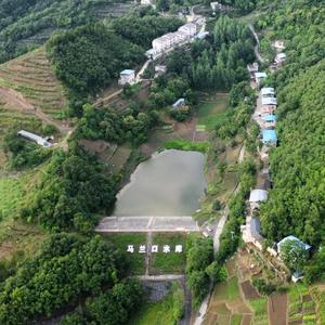 俯视大地头像