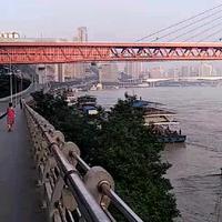 魔法师卡罗尔4l4头像