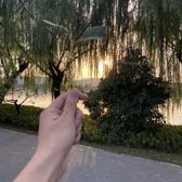 音乐会神头像