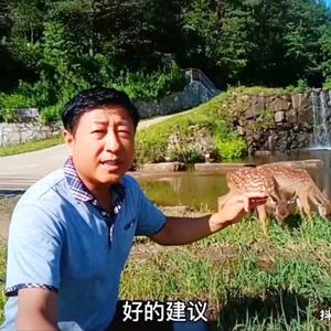东北石老四头像