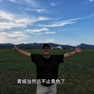 吴飞飞(吴所不往)头像