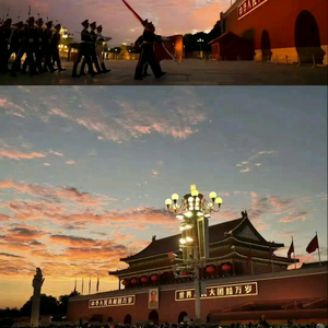 鱼丸粗面头像