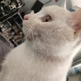 用户472746409667头像
