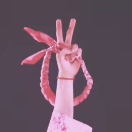 风兔子喵 头像