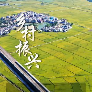 于与驴头像