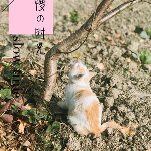 洋葱社头像