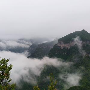 咪路头像